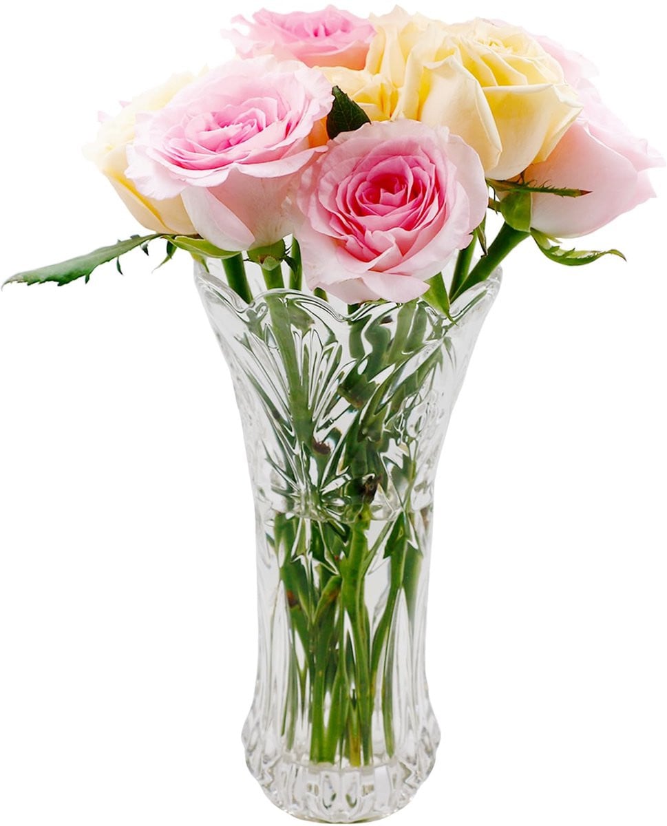 SnelShoppen Heldere Glazen Bloemenvaas 24 cm voor Decoratie