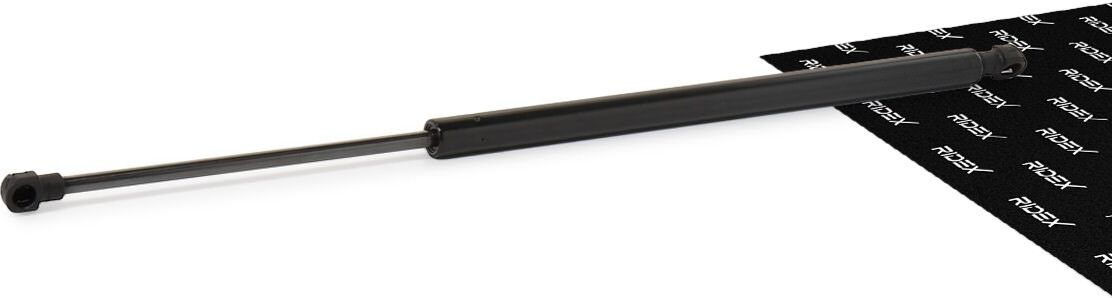 RIDEX 219G0396 Tailgate strut
