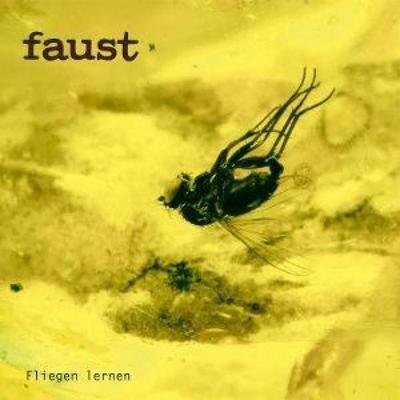 Fliegen lernen (curated by Gunther Wüsthoff) - Faust, CD