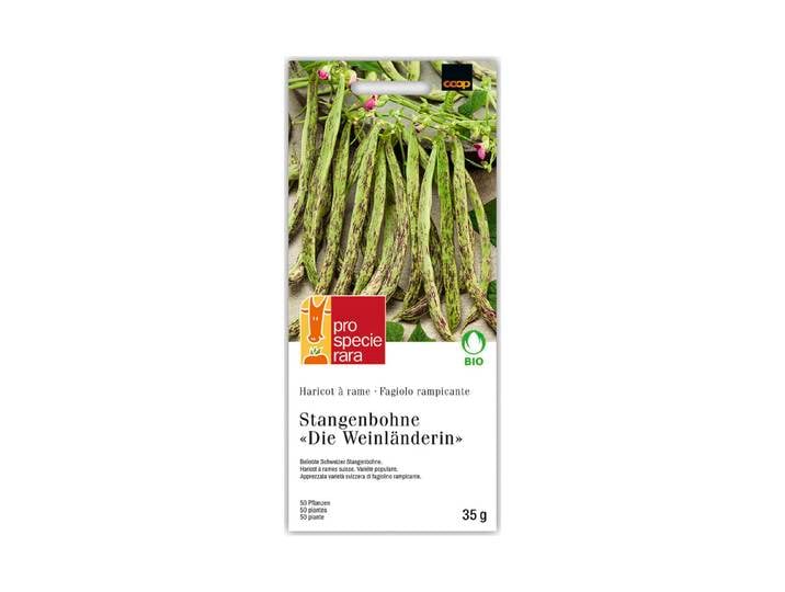 ProSpecieRara Bio Stangenbohnen Weinländerin