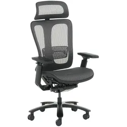 Carmen NELSON Ergonomischer Bürostuhl – Grau