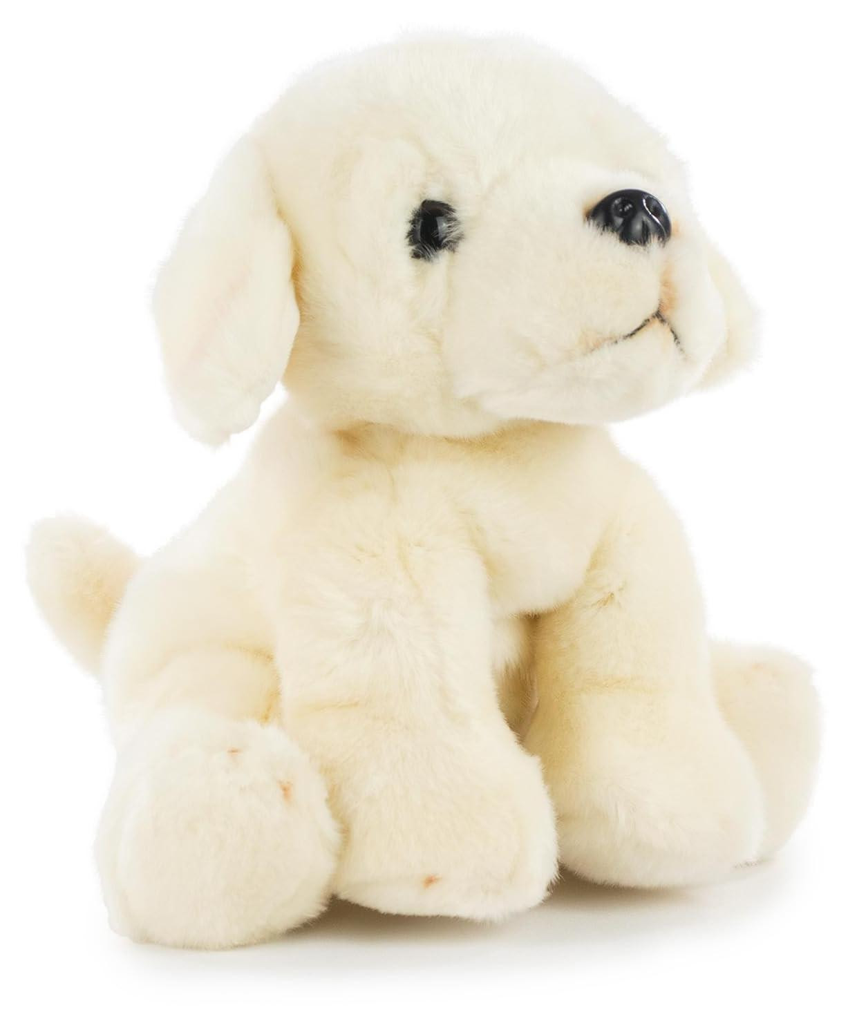 Solidchoice Pluche Labrador Retriever Hond 25 cm