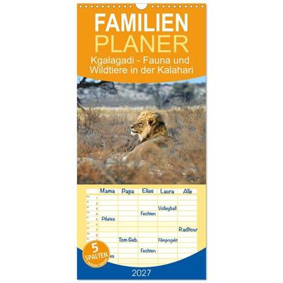 Familienplaner 2027 - Kgalagadi - Fauna und Wildtiere in der Kalahari mit 5 Spalten (Wandkalender, 21 x 45 cm) CALVENDO