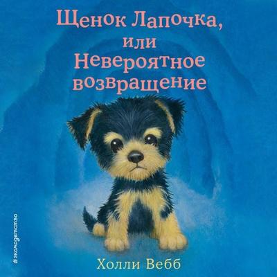 Schenok Lapochka, ili Neveroyatnoe vozvraschenie - Holly Webb, Audio, 9785042254536