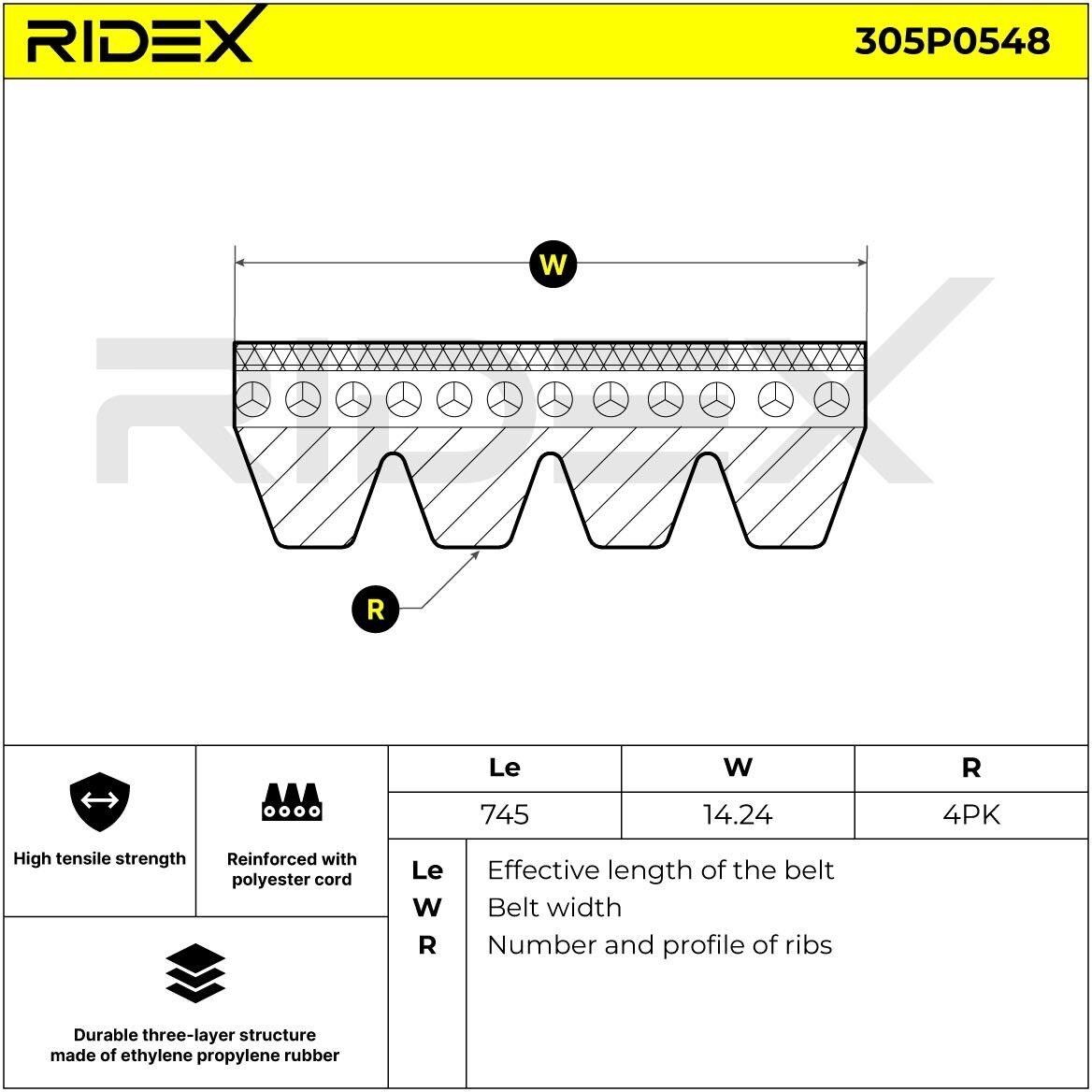 RIDEX 305P0548 Multiriem