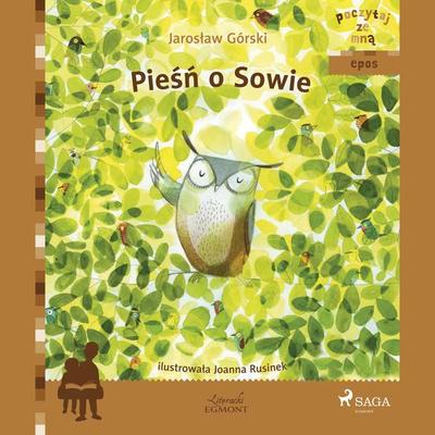 Pieśń o Sowie - Jarosław Górski, Audio, 9788726178555