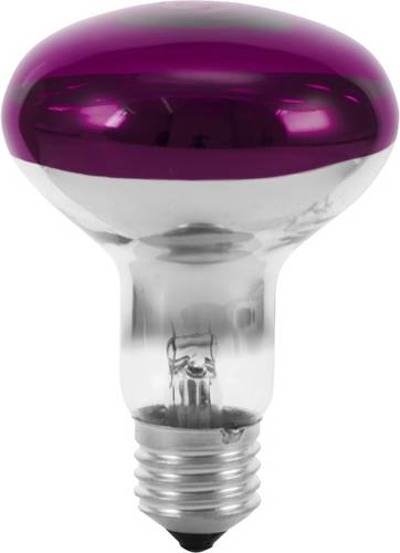 Eurolite 9210440U Glühlampe E27 Reflektor 60W Violett (Ø x L) 80mm x 110mm 1St.