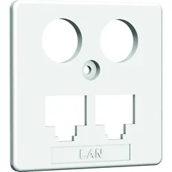 Zentralplatte HAXHSE-G0401-C021 HW-ZP-EK1 LAN/LAN 50mm reinweiß