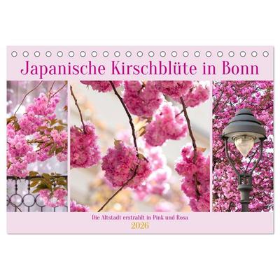 Japanische Kirschblüte in Bonn (Tischkalender 2026 DIN A5 quer), CALVENDO Monatskalender