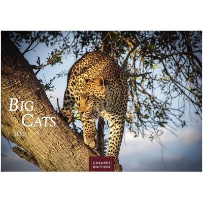 Big Cats Kalender 2027 – Wandkalender | Fotokalender Tierkalender 35x50cm – Wunderschöner Großkatzen-. mit beeindruckenden Fotos von Tiger| Löwen |