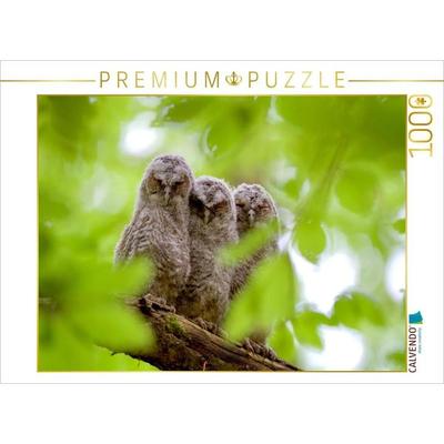 CALVENDO Puzzle Geschwister | 1000 Teile Lege-Größe 64x48cm Foto-Puzzle für glückliche Stunden