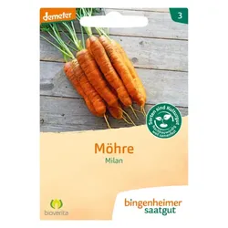 Bingenheimer Saatgut Möhre Milan demeter