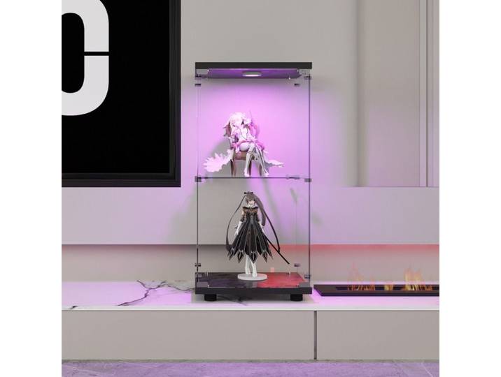 Vitrine en Verre Trempé à 2 Niveaux avec LED Porte Unique Cadre Noir pour Figurines et Objets de Collection