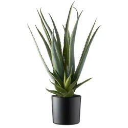 Aloe getopft   , grün , Kunststoff , Maße (cm): H: 48