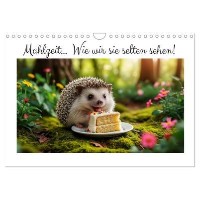 Mahlzeit... Wie wir Sie selten sehen! (Wandkalender 2026 DIN A4 quer), CALVENDO Monatskalender