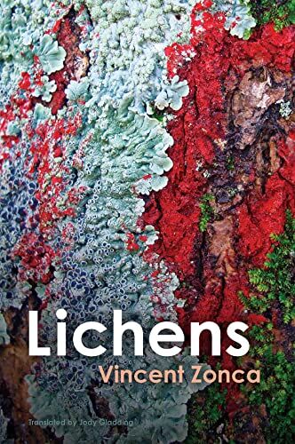 Vincent Zonca - Lichens: Toward a Minimal Resistance - Preis vom 19.10.2026 19:33:35 h