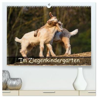 Im Ziegenkindergarten (hochwertiger Premium Wandkalender 2027 DIN A2 quer), Kunstdruck in Hochglanz
