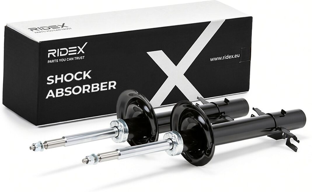 RIDEX 854S18052 Shock absorber