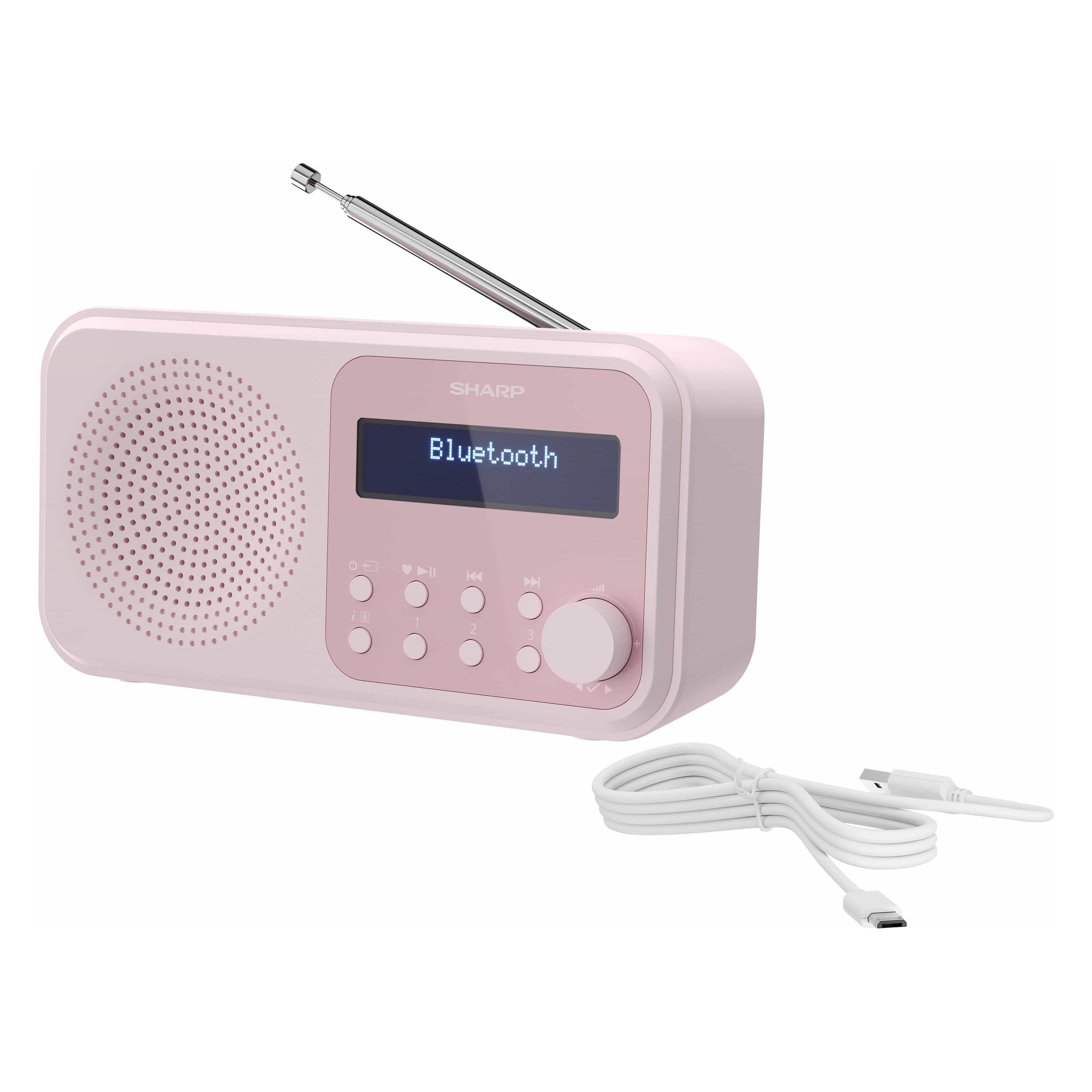 Sharp DR-P420 (DAB, DAB+, FM, Bluetooth) (DR-P420PK)