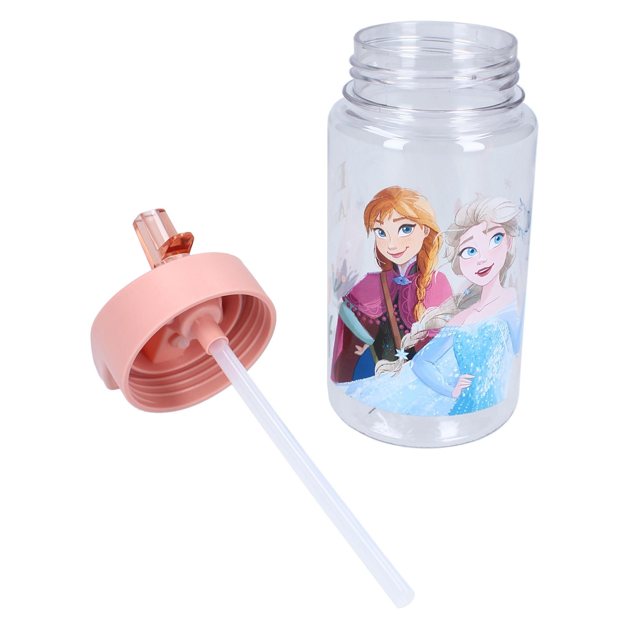 Disney Frozen Drinking bottle 450ml II Drink Up (0.45 l) (785-00411)