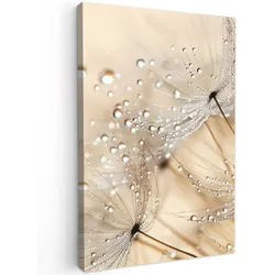 LEINWANDBILD Löwenzahn - Abstrakt - Natur - Beige Wanddeko 40x60 cm