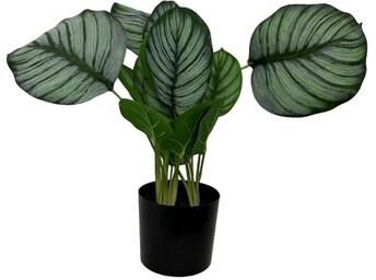 BIDK Home "Faux Marantaceae w/ Pot 21""H- A - GREEN"