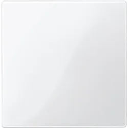 Merten Zentralplatte pws/gl 450019