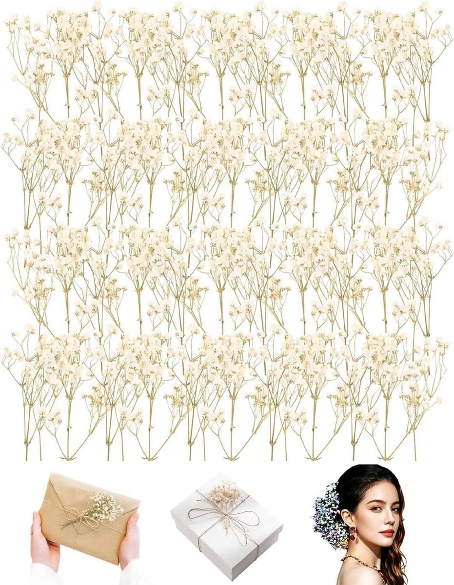50 stuks witte gypsophila gedroogde bloemen voor natuurlijke decoratie