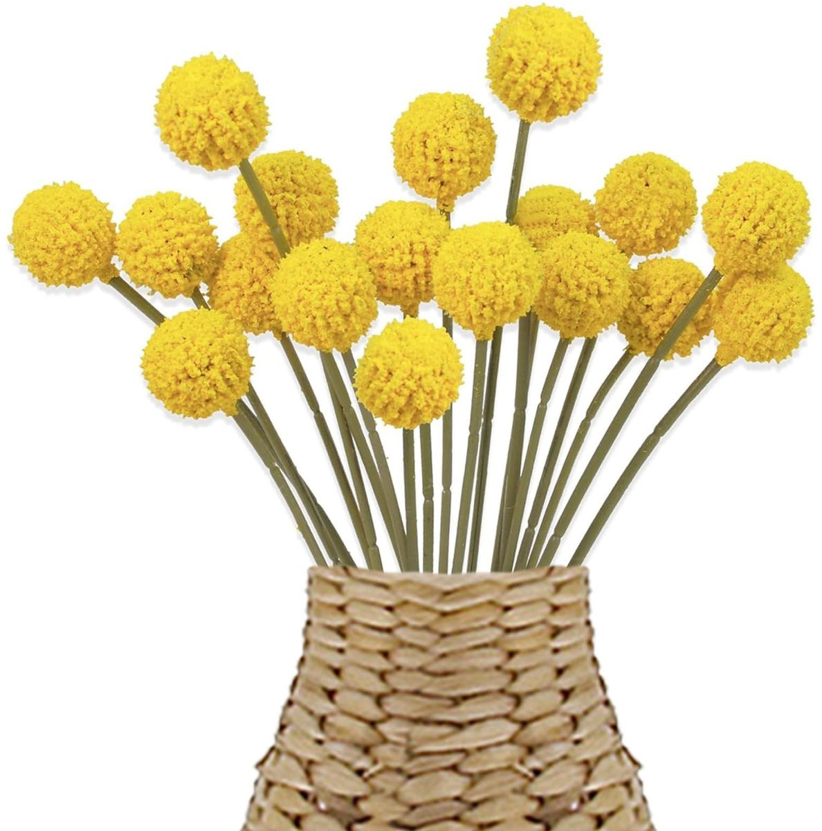 Dailygoods 18 stuks gedroogde Billy Balls mosterdgeel decoratiebloemen