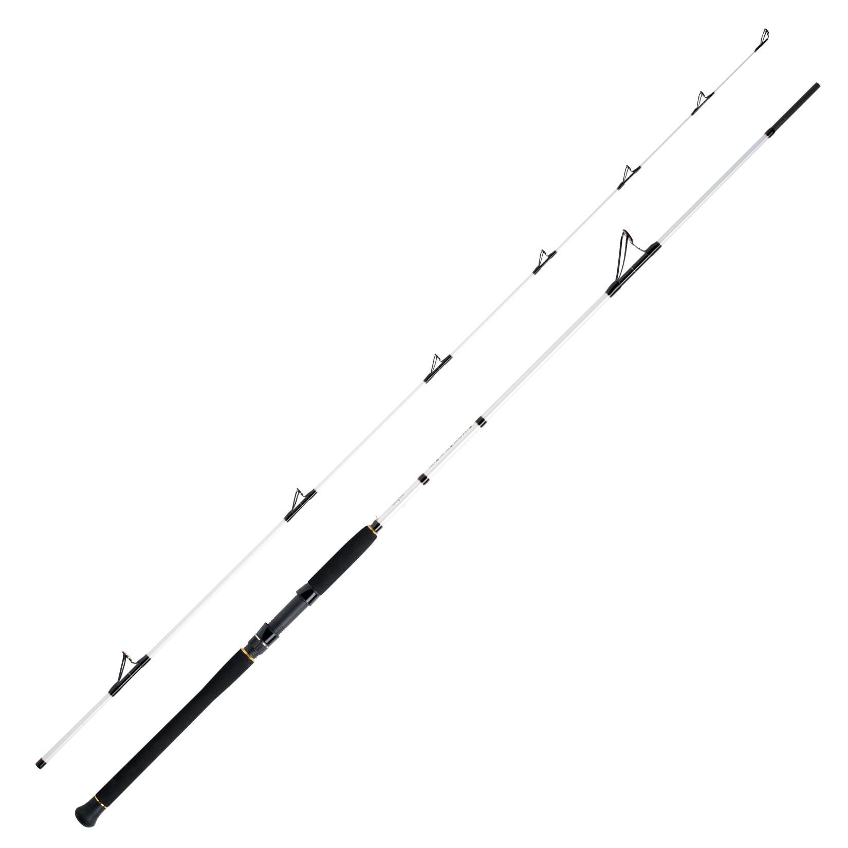 WFT Coastal Jigger Salzmeister 2,75m 40-160g Meeresrute 2-Teilig