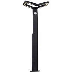 Paulmann, Gartenbeleuchtung, Pollerleuchte Alara (600 lm, IP44)