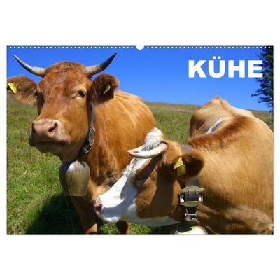 Kühe / Geburtstagskalender (Wandkalender 2027 DIN A2 quer), CALVENDO Monatskalender