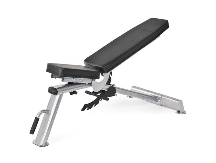 Horizon Fitness Multifunktionsbank Adonis Trainings, silber/schwarz, 100693