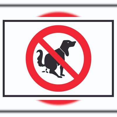 HB-Druck Hier ist kein Hundeklo Symbol Schild A6 Rückseite selbstklebend
