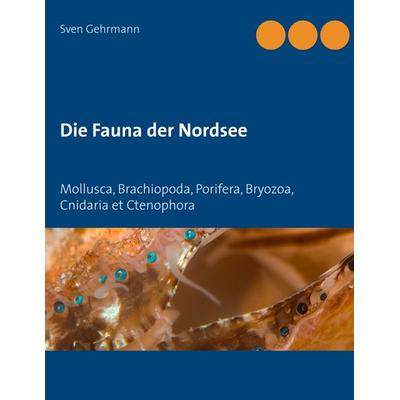 Die Fauna der Nordsee, Taschenbuch von Sven Gehrmann, BoD – Books on Demand, 978-3-7481-5589-8