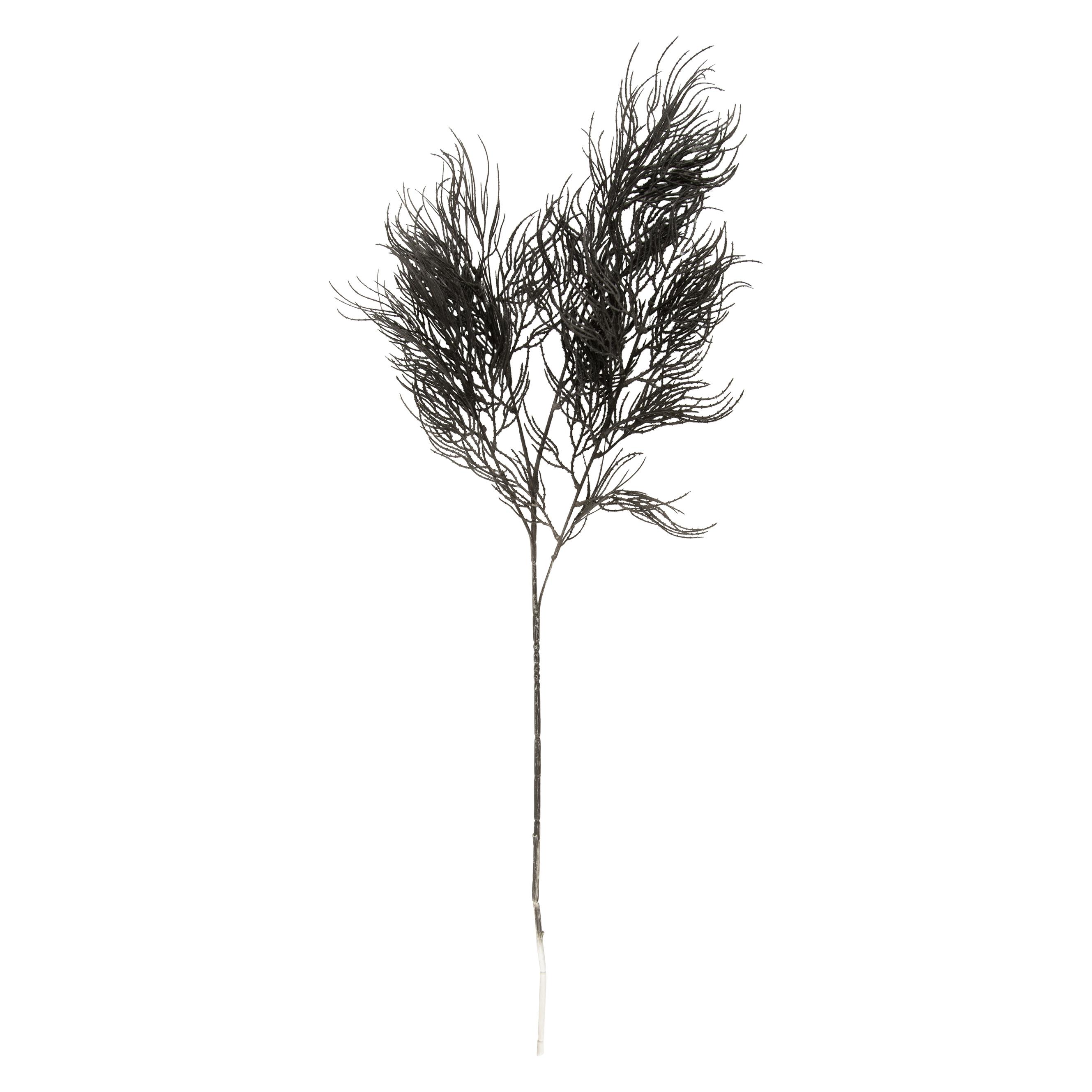 present time Asparagus Fern Stem (86.40 cm) (PT3902BK)