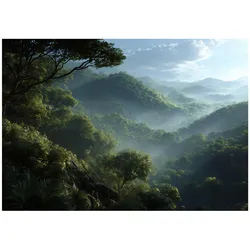 FOTOTAPETE Wald Nebel Grün 300x210 cm