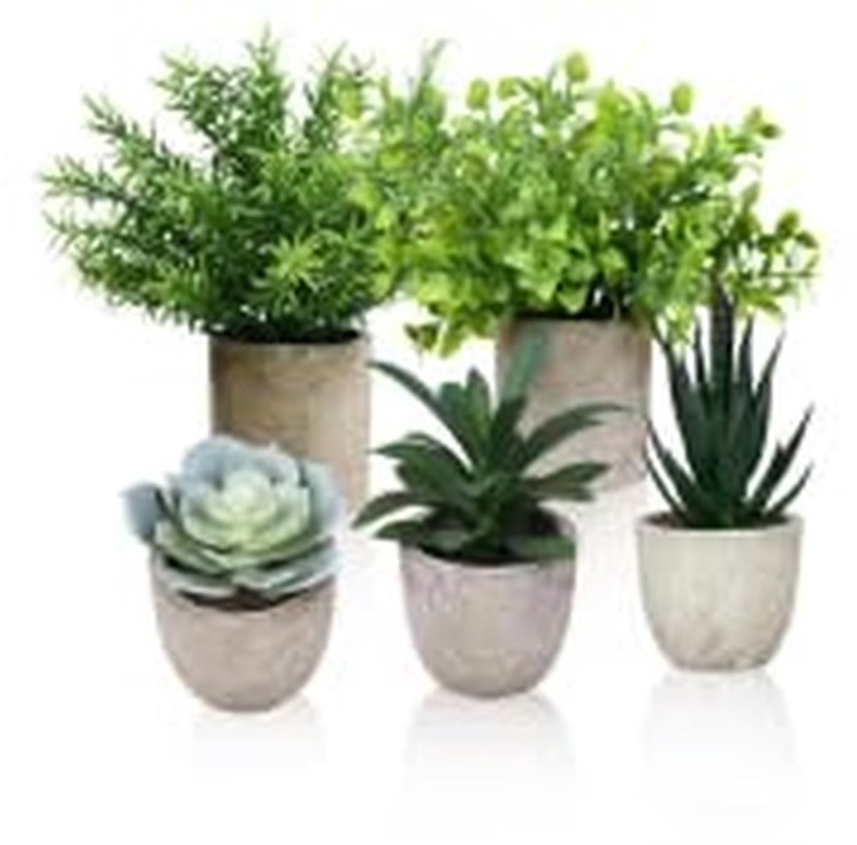 Set van 5 mini slangentong kunstplanten in pot voor decoratie