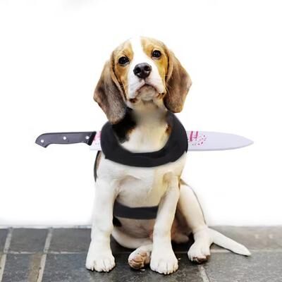 Inspire Curations Dog Halloween Costume Bloodstain Pet Cosplay Costume Accessory Set For Cats & Dogs bayonet m