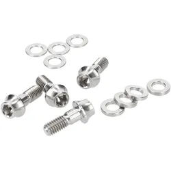 RADIC PERFORMANCE Schrauben Titan für Post-Mount-Bremssattel/-adapter