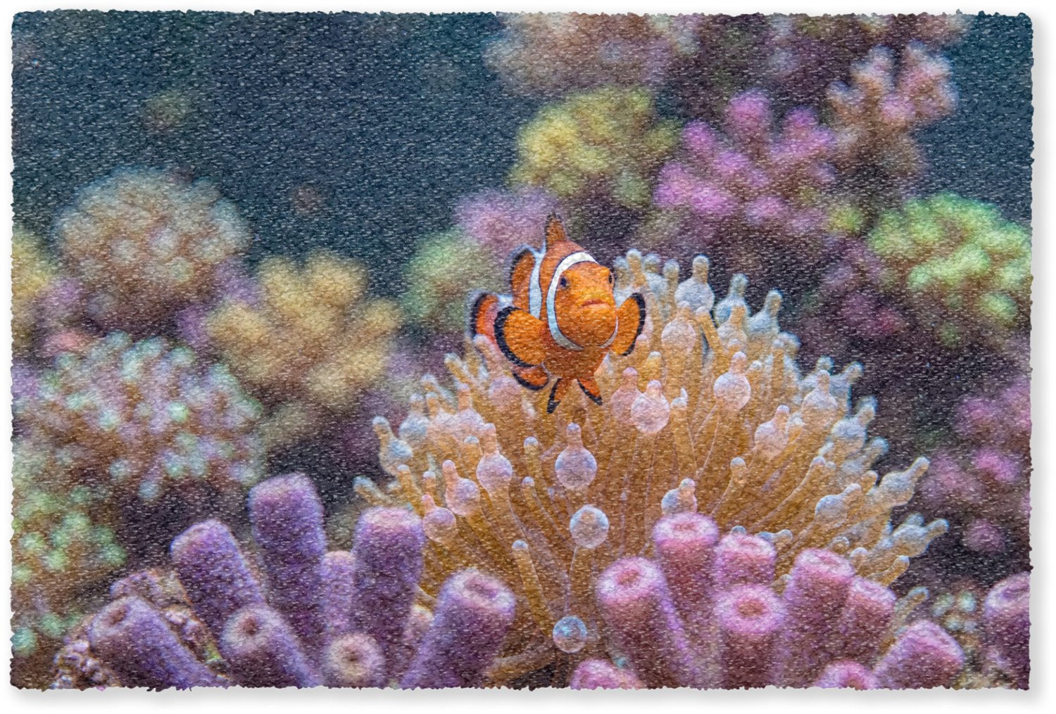 Deurmat Vis Koraal Oranje - Droogloopmat voor binnen - Breedte: 90 cm, Diepte: 60 cm