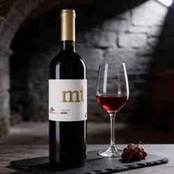 Thomas Hensel 2020 Thomas Hensel Höhenflug Merlot 2020 Merlot Deutschland