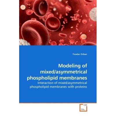 Orban, T: Modeling of mixed/asymmetrical phospholipid membra, Taschenbuch von Tivadar Orban, VDM, 978-3-639-21536-6