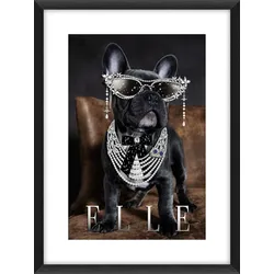 Bild BULLDOG ELLE (BHT 60x80x5,30 cm) - schwarz - BHT 60x80x5,30 cm