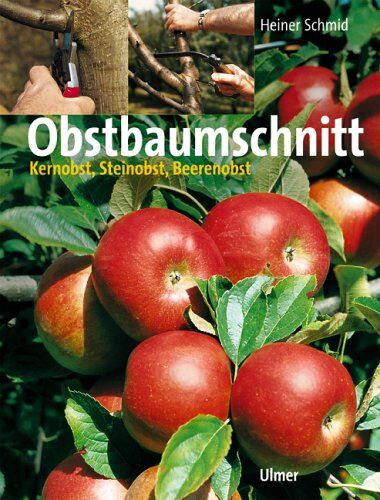 Heiner Schmid - Obstbaumschnitt. Kernobst, Steinobst, Beerenobst - Preis vom 09.10.2026 07:28:09 h