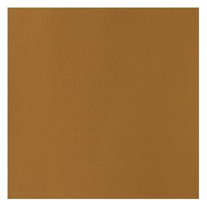 Winsor & Newton Designers Gouache 14ml Raw Umber Row (14 ml) (8840587)
