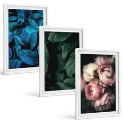 BILDER SET 3er Set - 40x60 cm Weißer Rahmen - Blätter, Blüten, verschiedene Farben