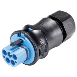 Wieland Electric 96.152.0153.9 Steckverbinder