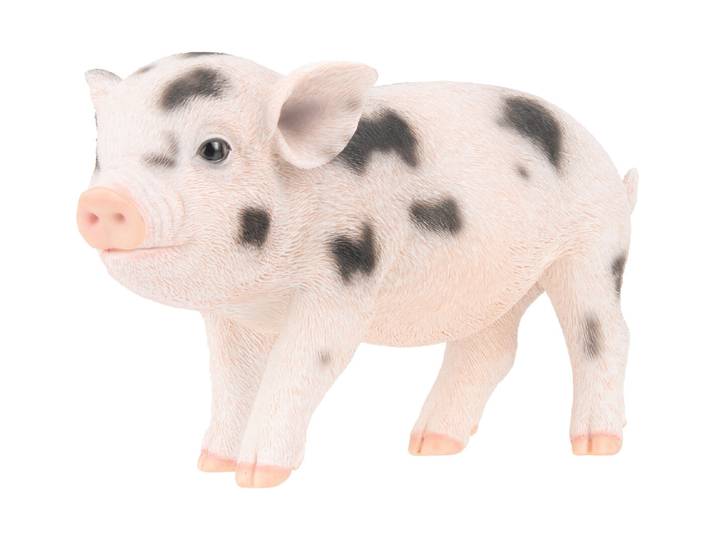 Vivid Minipig 23 × 9 × 13 cm