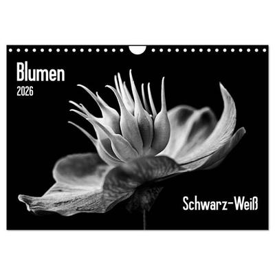 Blumen 2026, Schwarz-Weiß (Wandkalender 2026 DIN A4 quer), CALVENDO Monatskalender